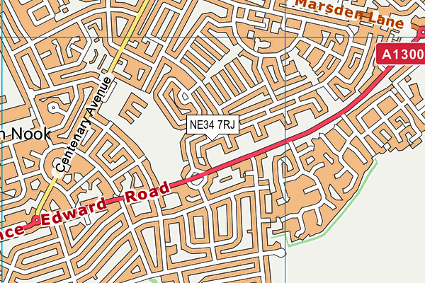 NE34 7RJ map - OS VectorMap District (Ordnance Survey)