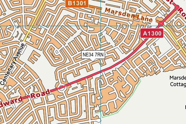 NE34 7RN map - OS VectorMap District (Ordnance Survey)