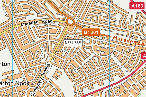 NE34 7SE map - OS VectorMap District (Ordnance Survey)