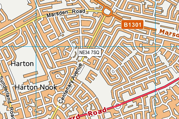 NE34 7SQ map - OS VectorMap District (Ordnance Survey)