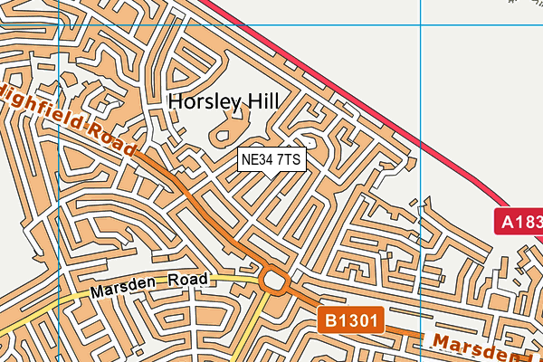 NE34 7TS map - OS VectorMap District (Ordnance Survey)