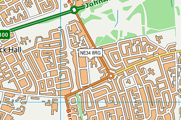 NE34 8RG map - OS VectorMap District (Ordnance Survey)