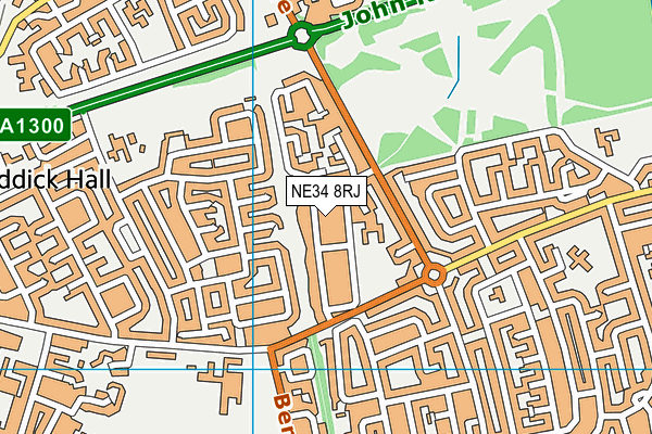 NE34 8RJ map - OS VectorMap District (Ordnance Survey)