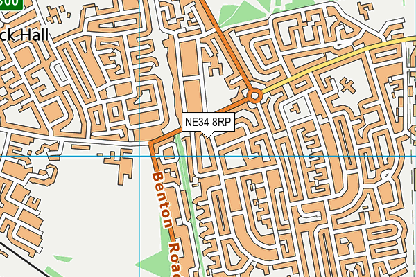 NE34 8RP map - OS VectorMap District (Ordnance Survey)