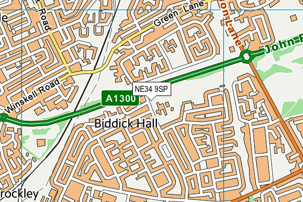 Biddick Hall Junior School map (NE34 9SP) - OS VectorMap District (Ordnance Survey)