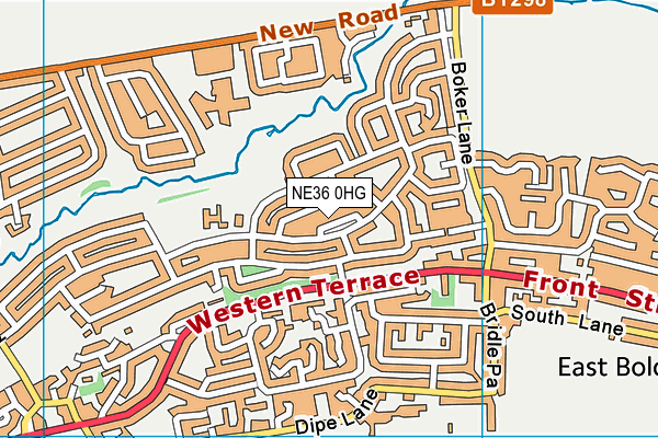 NE36 0HG map - OS VectorMap District (Ordnance Survey)