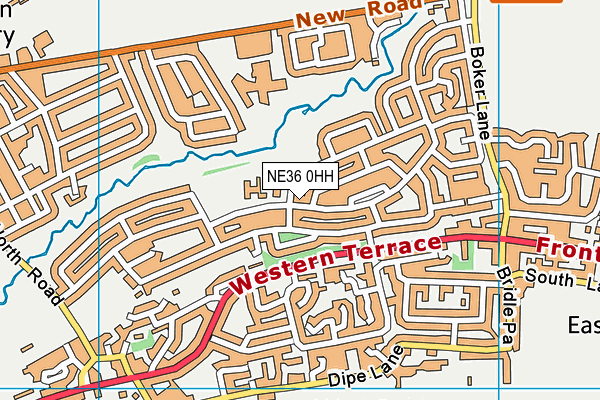 NE36 0HH map - OS VectorMap District (Ordnance Survey)