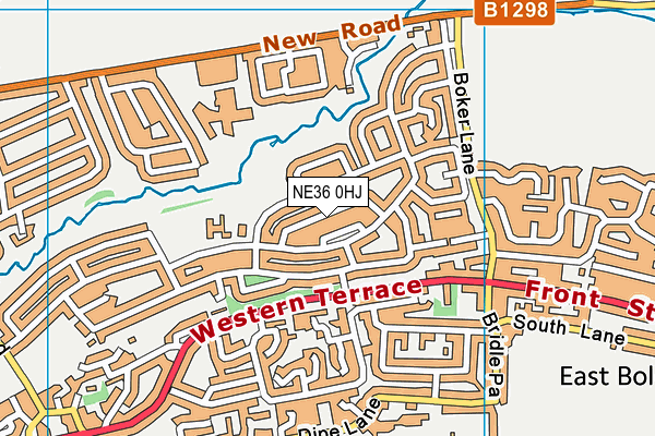 NE36 0HJ map - OS VectorMap District (Ordnance Survey)