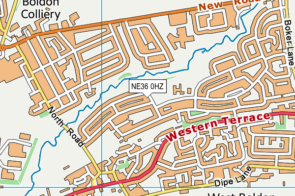 NE36 0HZ map - OS VectorMap District (Ordnance Survey)