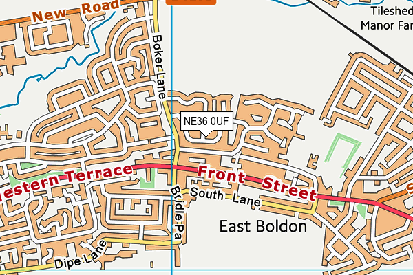 NE36 0UF map - OS VectorMap District (Ordnance Survey)