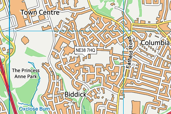 Biddick Primary School map (NE38 7HQ) - OS VectorMap District (Ordnance Survey)