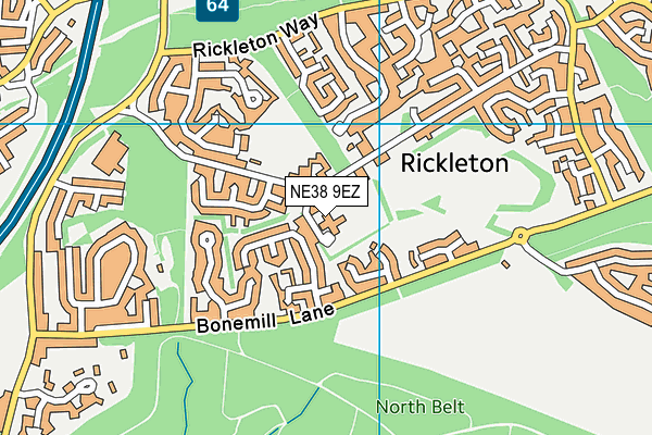 Rickleton Primary School map (NE38 9EZ) - OS VectorMap District (Ordnance Survey)