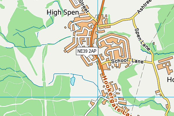 NE39 2AP map - OS VectorMap District (Ordnance Survey)