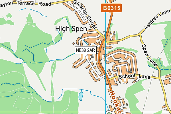 NE39 2AR map - OS VectorMap District (Ordnance Survey)