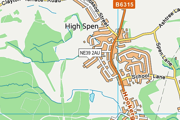 NE39 2AU map - OS VectorMap District (Ordnance Survey)