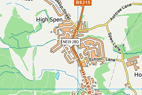 High Spen Primary School map (NE39 2BQ) - OS VectorMap District (Ordnance Survey)