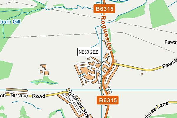 NE39 2EZ map - OS VectorMap District (Ordnance Survey)