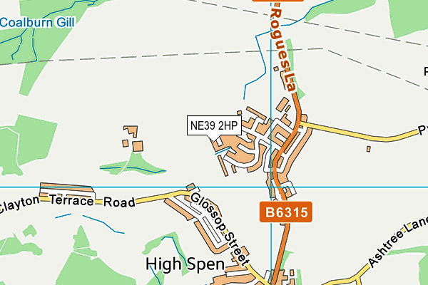NE39 2HP map - OS VectorMap District (Ordnance Survey)