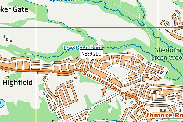 NE39 2LG map - OS VectorMap District (Ordnance Survey)