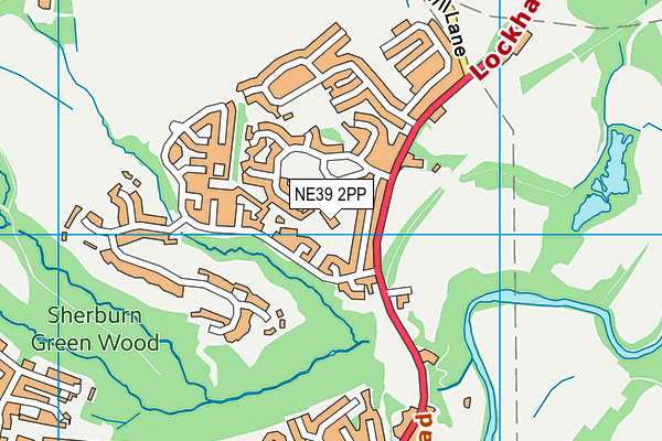 Rowlands Gill Community Primary School map (NE39 2PP) - OS VectorMap District (Ordnance Survey)