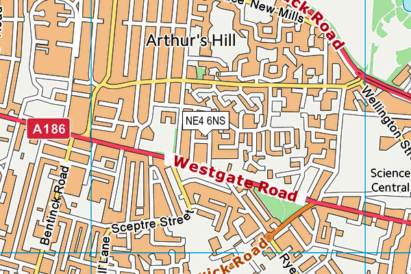 NE4 6NS map - OS VectorMap District (Ordnance Survey)