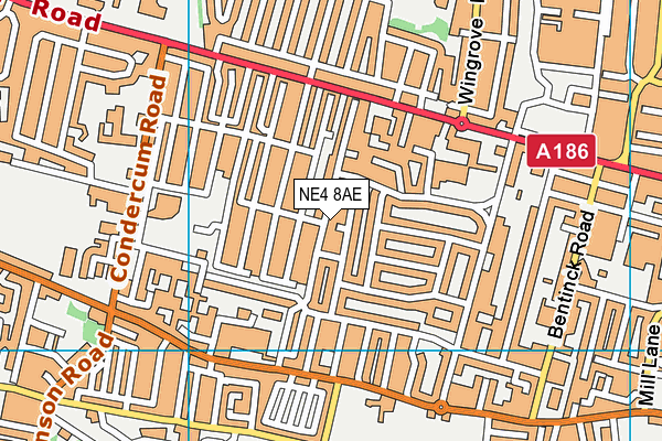 NE4 8AE map - OS VectorMap District (Ordnance Survey)