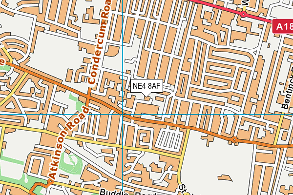 NE4 8AF map - OS VectorMap District (Ordnance Survey)