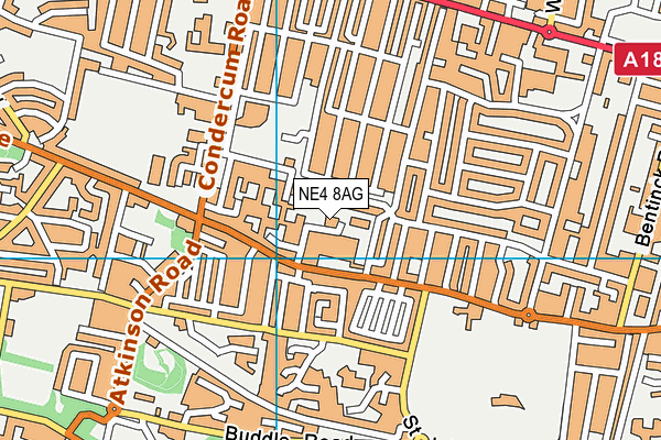 NE4 8AG map - OS VectorMap District (Ordnance Survey)