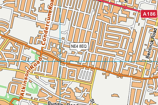 NE4 8EQ map - OS VectorMap District (Ordnance Survey)