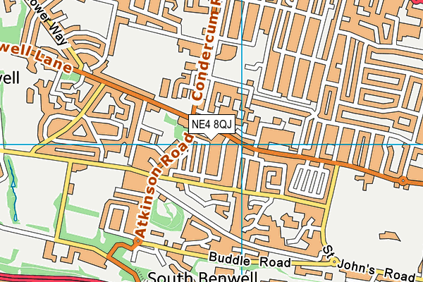 NE4 8QJ map - OS VectorMap District (Ordnance Survey)