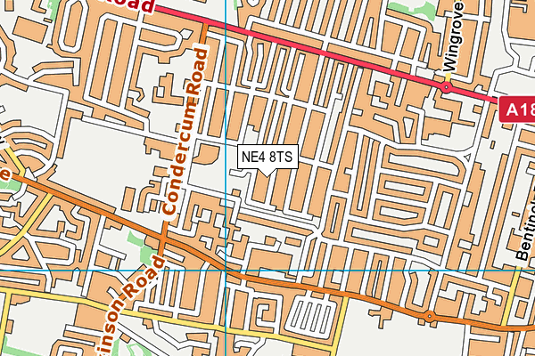NE4 8TS map - OS VectorMap District (Ordnance Survey)
