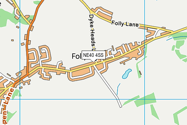 NE40 4SS map - OS VectorMap District (Ordnance Survey)