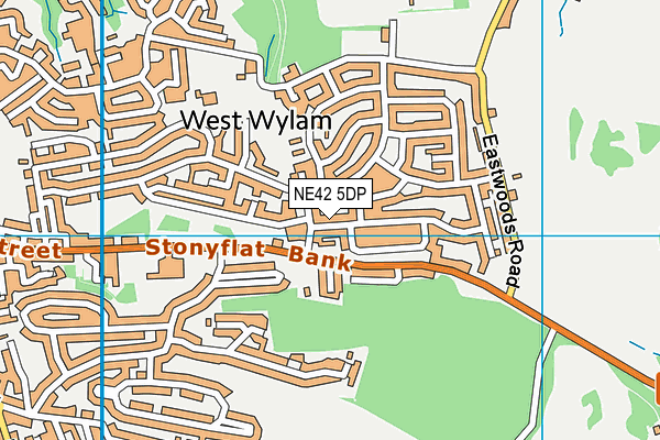 NE42 5DP map - OS VectorMap District (Ordnance Survey)