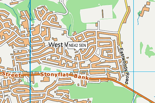 NE42 5EN map - OS VectorMap District (Ordnance Survey)