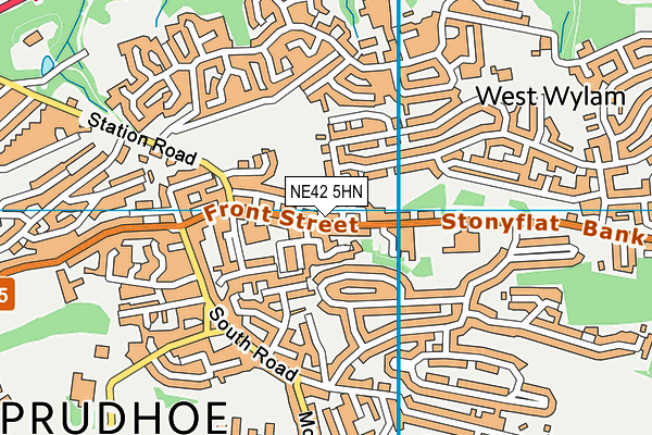 NE42 5HN map - OS VectorMap District (Ordnance Survey)