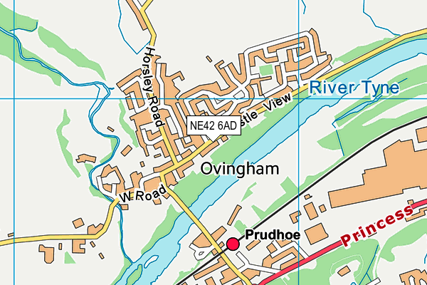 NE42 6AD map - OS VectorMap District (Ordnance Survey)