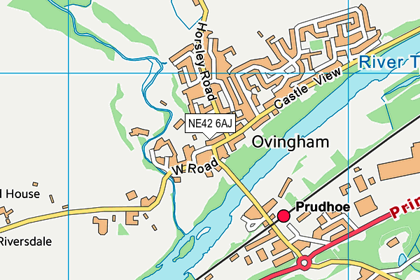 NE42 6AJ map - OS VectorMap District (Ordnance Survey)