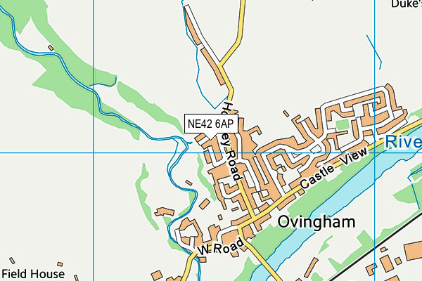 NE42 6AP map - OS VectorMap District (Ordnance Survey)