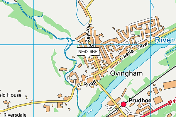 NE42 6BP map - OS VectorMap District (Ordnance Survey)
