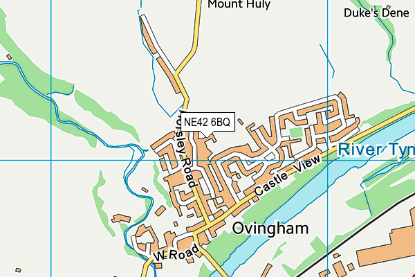 NE42 6BQ map - OS VectorMap District (Ordnance Survey)