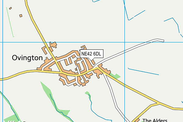 NE42 6DL map - OS VectorMap District (Ordnance Survey)