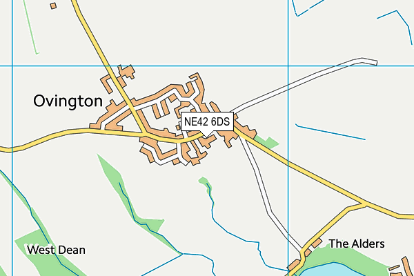 NE42 6DS map - OS VectorMap District (Ordnance Survey)