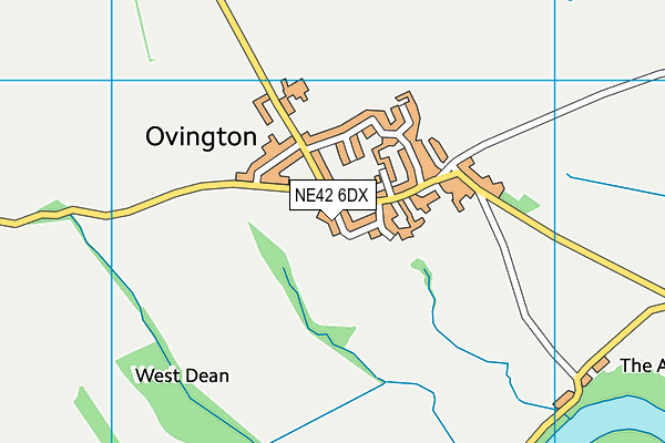 NE42 6DX map - OS VectorMap District (Ordnance Survey)