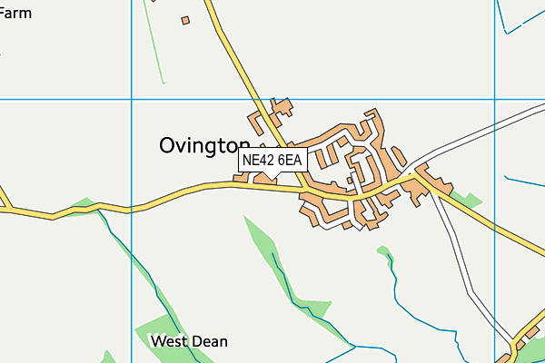 NE42 6EA map - OS VectorMap District (Ordnance Survey)