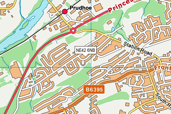 NE42 6NB map - OS VectorMap District (Ordnance Survey)