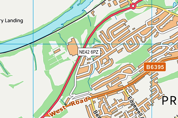 NE42 6PZ map - OS VectorMap District (Ordnance Survey)