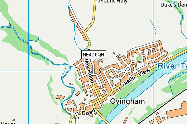 NE42 6QH map - OS VectorMap District (Ordnance Survey)