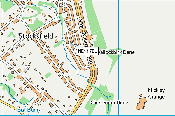 NE43 7EL map - OS VectorMap District (Ordnance Survey)