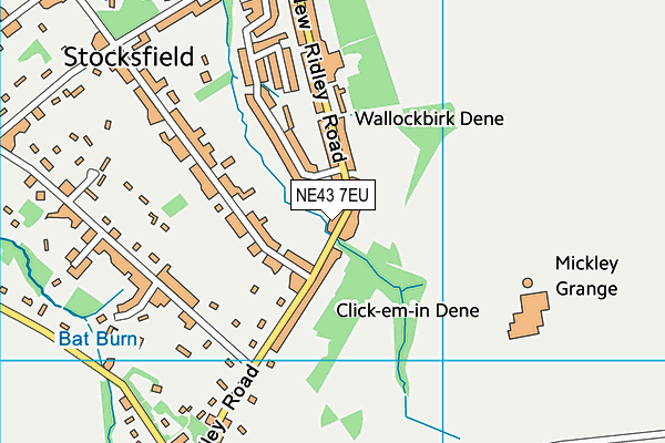NE43 7EU map - OS VectorMap District (Ordnance Survey)
