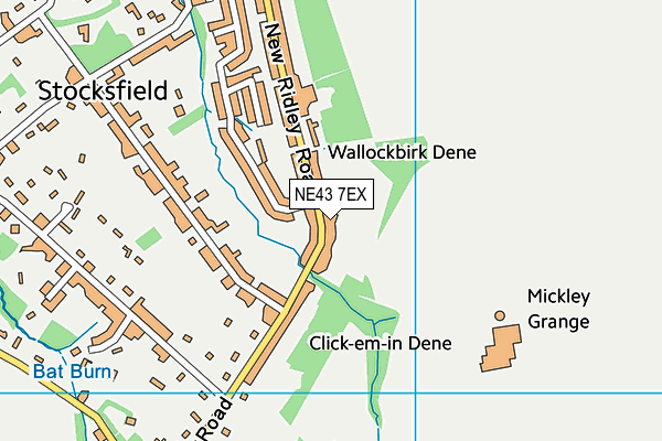 NE43 7EX map - OS VectorMap District (Ordnance Survey)